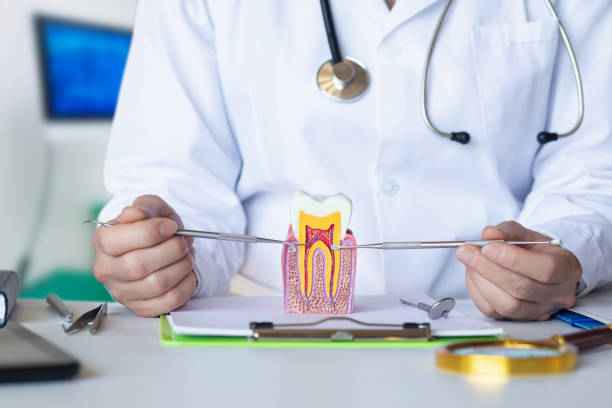 Best Broken or Chipped Tooth Repair in Edwardsburg, MI